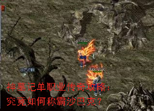 Ĺǵְҵ湥ԣγưɳͿˣ