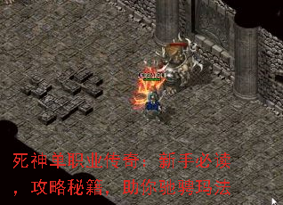 ְҵ棺ֱضؼ۳귨