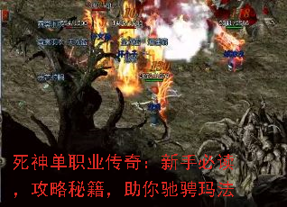 ְҵ棺ֱضؼ۳귨