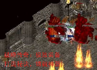 棺װؾ