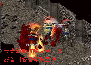 ·Դȫձر֪ʶ