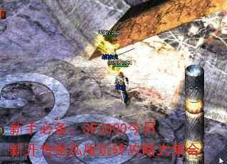 ֱرSF3000¿˽תԴ󼯺