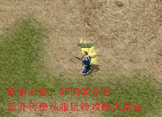 ֱرSF3000¿˽תԴ󼯺