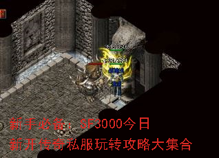 ֱرSF3000¿˽תԴ󼯺