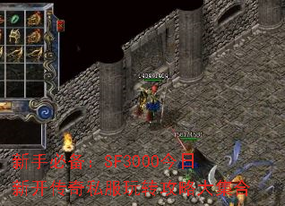 ֱرSF3000¿˽תԴ󼯺