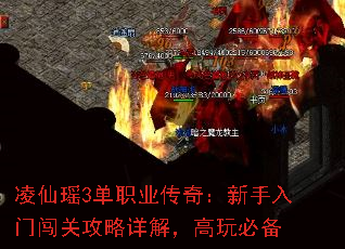 3ְҵ棺Ŵع⣬ر
