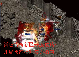 °洫ԣֿʵָ