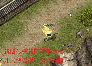 °洫ԣֿʵָ