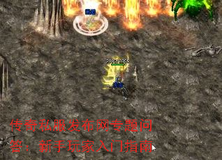 ˽רʴָ