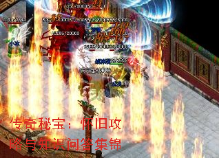 رɹ֪ʶʴ𼯽