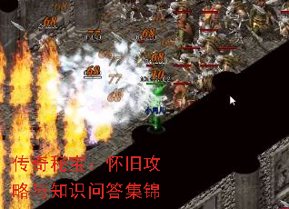 رɹ֪ʶʴ𼯽