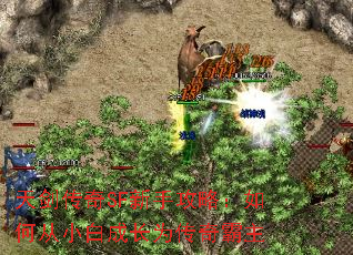콣SFֹԣδС׳ɳΪ