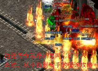 ң˽sfűضС׵ֵ;