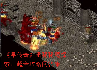 紫桷ؾ̽ȫʴ
