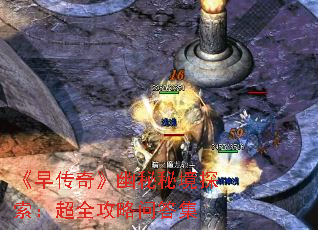 紫桷ؾ̽ȫʴ