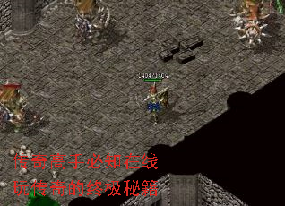 ֱ֪洫ռؼ