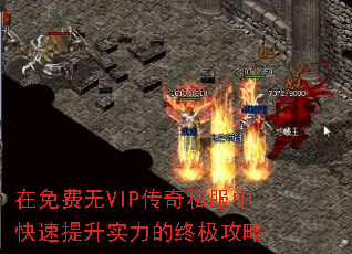 VIP˽пʵռ