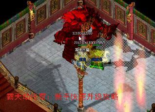 ٴ棺ֿ