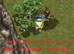 ʧְҵ˽ָϣС׵Ľ׹