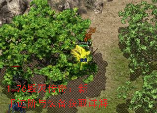 1.76棺ֽװȡ