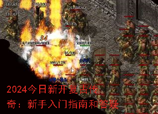 2024¿Ŵ棺ָϺʹ