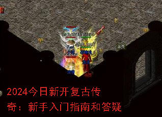 2024¿Ŵ棺ָϺʹ