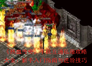 Ѫ桷ֻͨ˽Դȫָ׼
