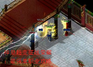 ʳսҫǿְҵ