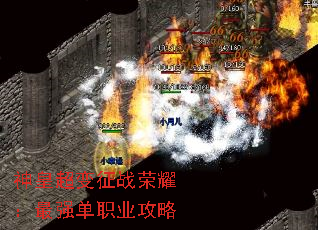 ʳսҫǿְҵ