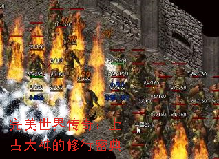 紫棺ϹŴܵ