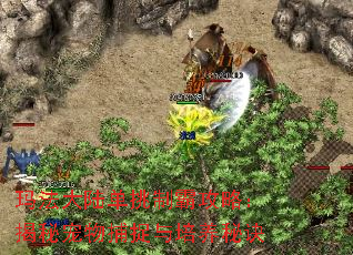 귨½ưԹԣسﲶ׽ؾ