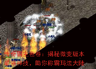 ܾ΢汾ǿ񼼣ư귨½