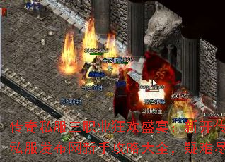˽ְҵʢ磺¿˽ֹԴȫѾ