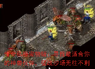˽棺Ѱʺ޻飬սɳ