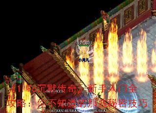 1.76Ĭ桷ȫԣ㲻֪Щܼ