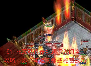 1.76Ĭ桷ȫԣ㲻֪Щܼ