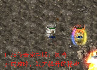1.76棺ɹԣս