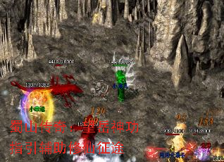 ɽ棺ָ;