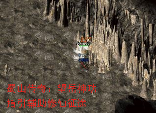 ɽ棺ָ;