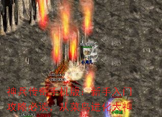 ֻ棺ŹԱضӲ