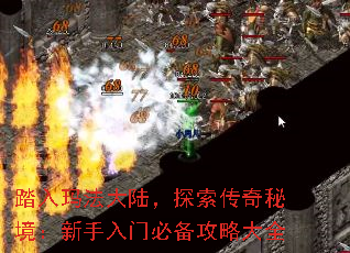 ̤귨½̽ؾűرԴȫ