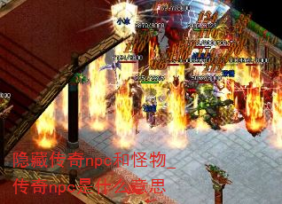 شnpc͹_npcʲô˼