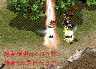 شnpc͹_npcʲô˼