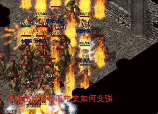 ʦڴ˽Ҫαǿ