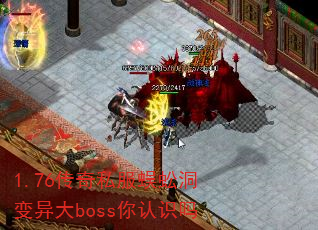 1.76˽򼶴bossʶ