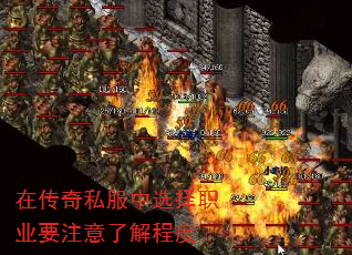 ڴ˽ѡְҵҪע˽̶