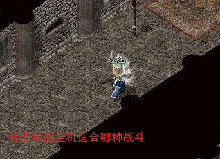 ˽һʺս