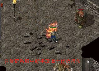 ڴ˽ʿƺܶ