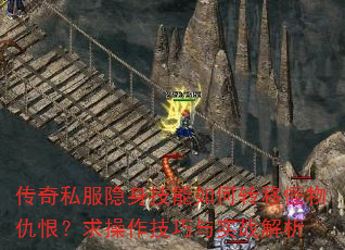 ˽תƹޣʵս