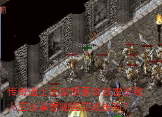 ʿҪЧɱӦЩʵսɣ